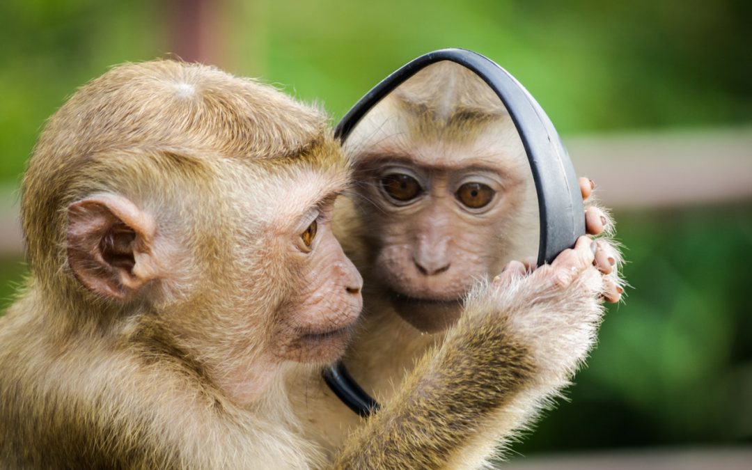 Recognizing Your Own Self-Worth