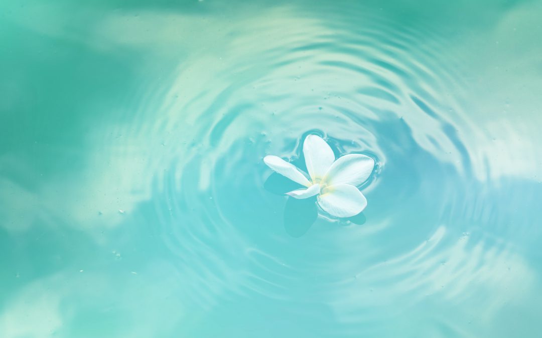Invite the solution to the surface
