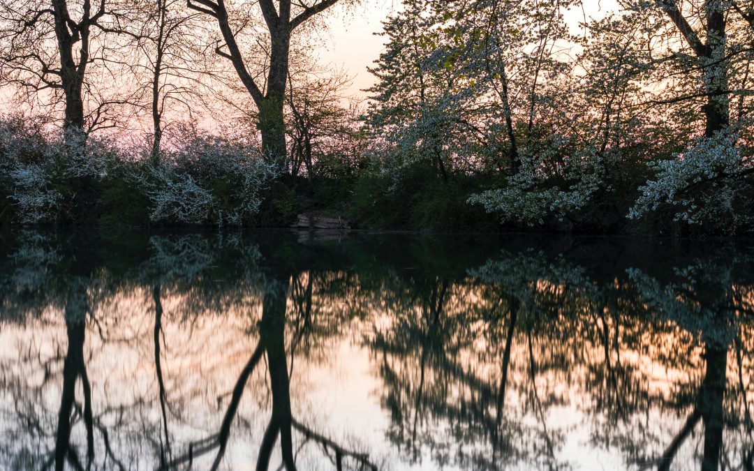Contemplations on the word ‘worry’
