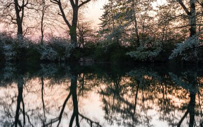 Contemplations on the word ‘worry’